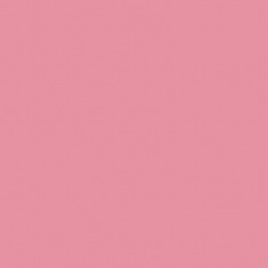 成人A片漫画H无码网站入口
