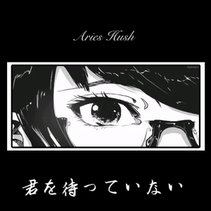 成人A片漫画H无码网站入口
