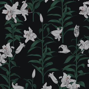 成人A片漫画H无码网站入口
